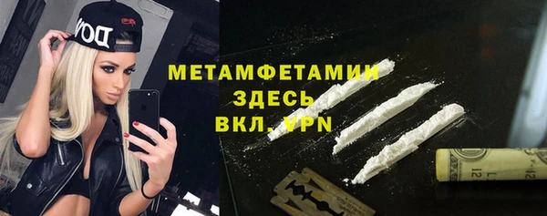 прущие грибы Аркадак
