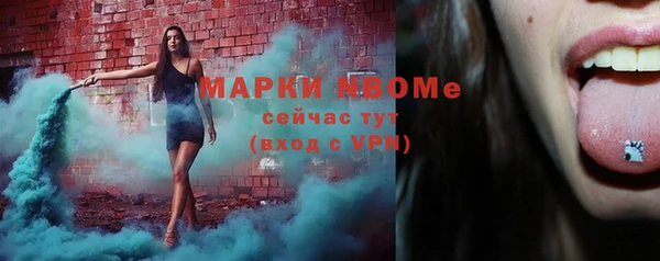 прущие грибы Аркадак
