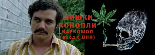 прущие грибы Аркадак
