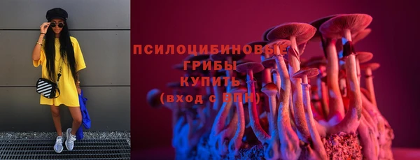 прущие грибы Аркадак