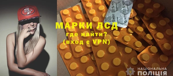 ПСИЛОЦИБИНОВЫЕ ГРИБЫ Алзамай