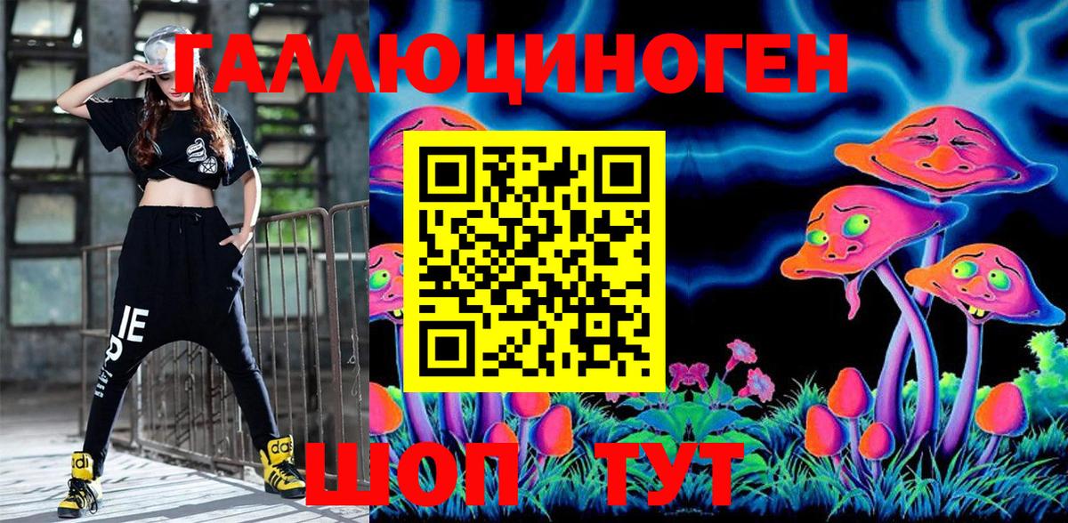 Новозыбков  где купить   Вход с VPN  Галлюциногенные грибы Magic Shrooms 